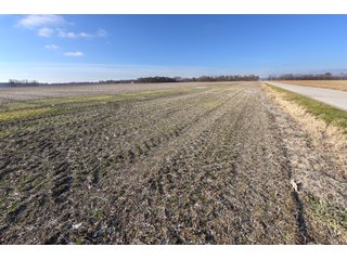 Property photo 41 - MAJOR, HIGH QUALITY LAND AUCTION - 346+/- ACRES OFFERED IN 8 TRACTS IN JACKSON COUNTY, INDIANA